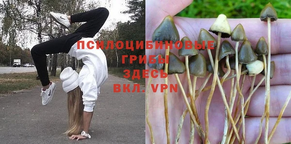 a pvp Абинск