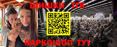 шишки Тара