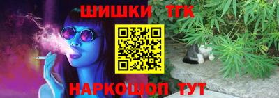 шишки Тара