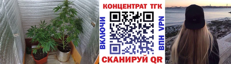 Дистиллят ТГК THC oil Назрань