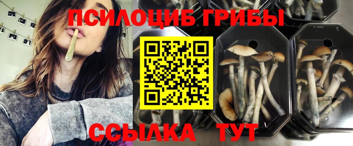 Псилоцибиновые грибы прущие грибы Назрань